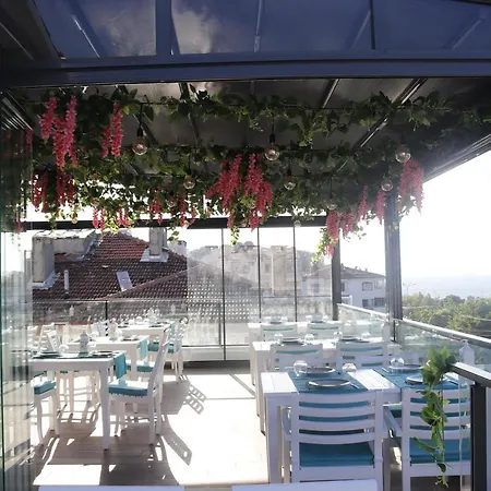 Hotel The Lavington Beach *