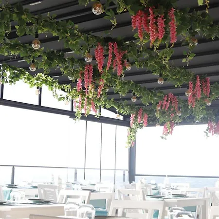 The Lavington Beach *